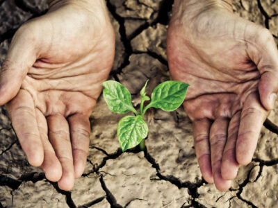 Pair of hands nurturing a small plant growing out of dried earth