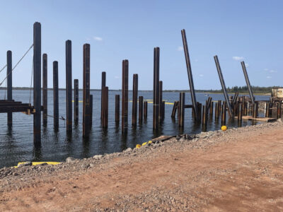 Driven piles in shoreline