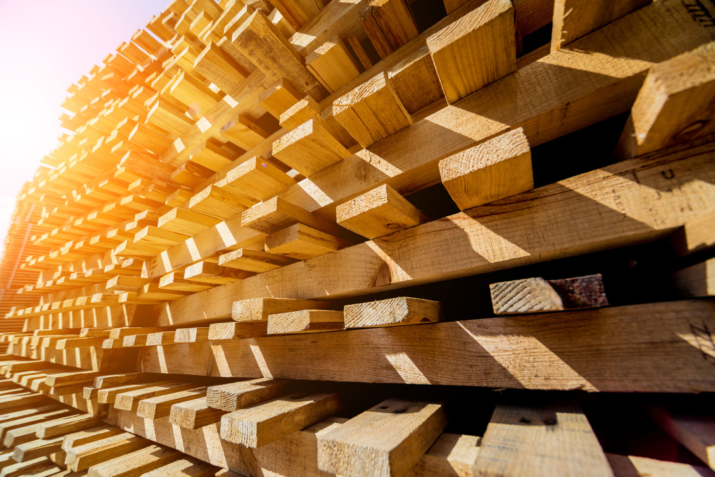 Stacks of timber