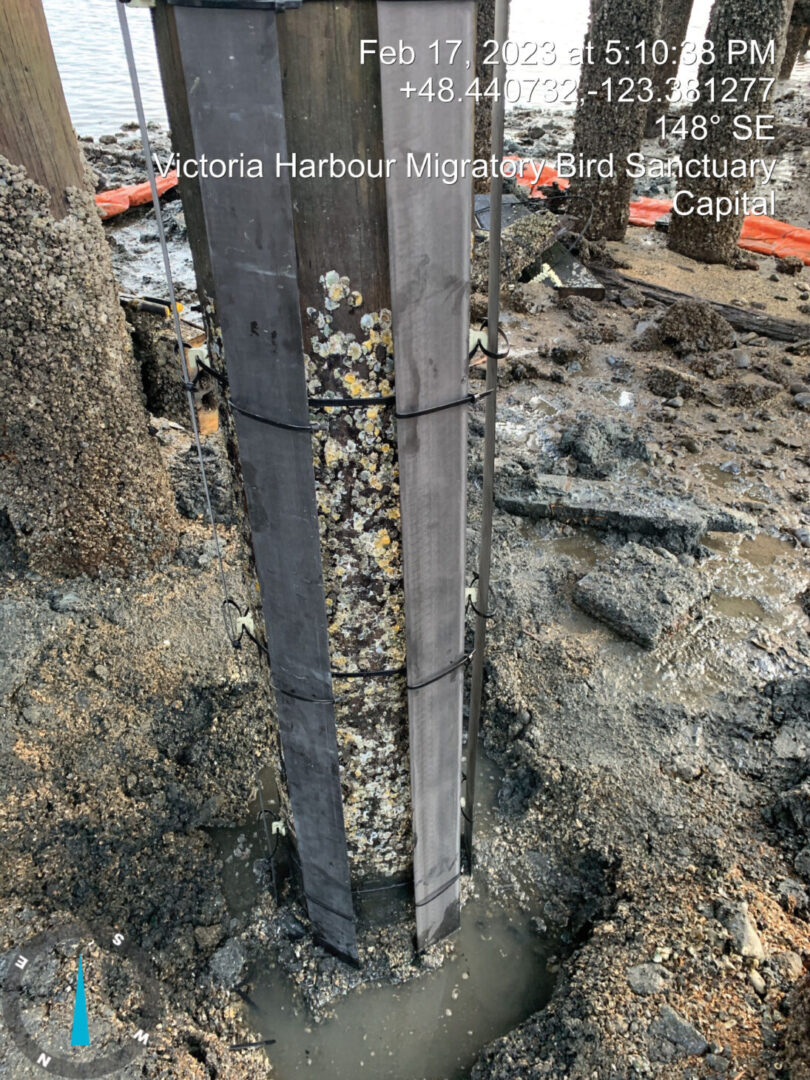 Pile in midst of repair