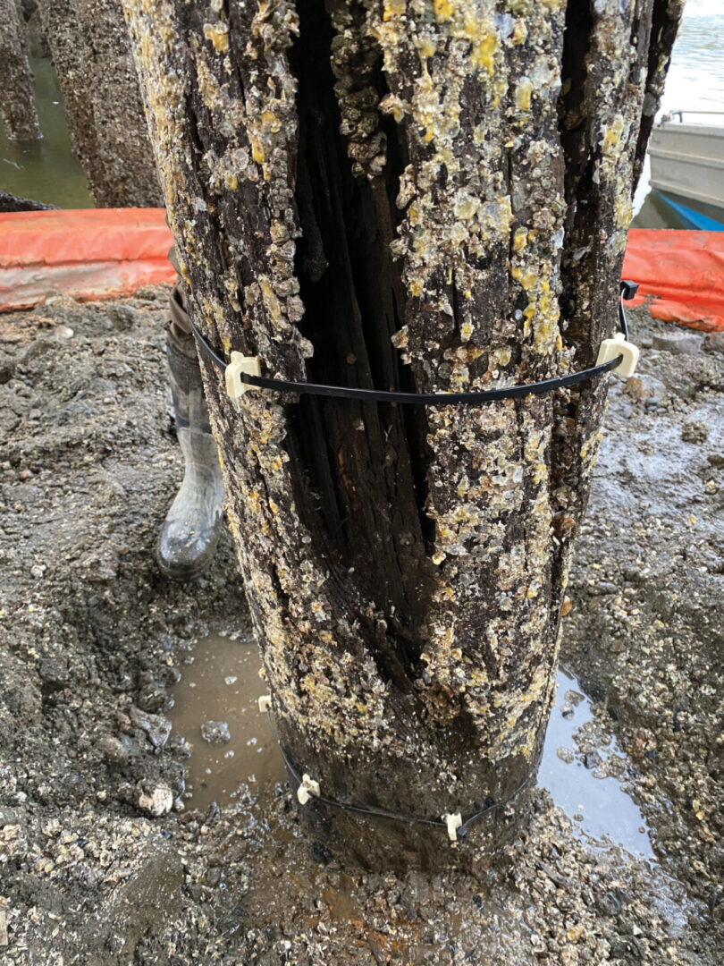 Pile in need of repair