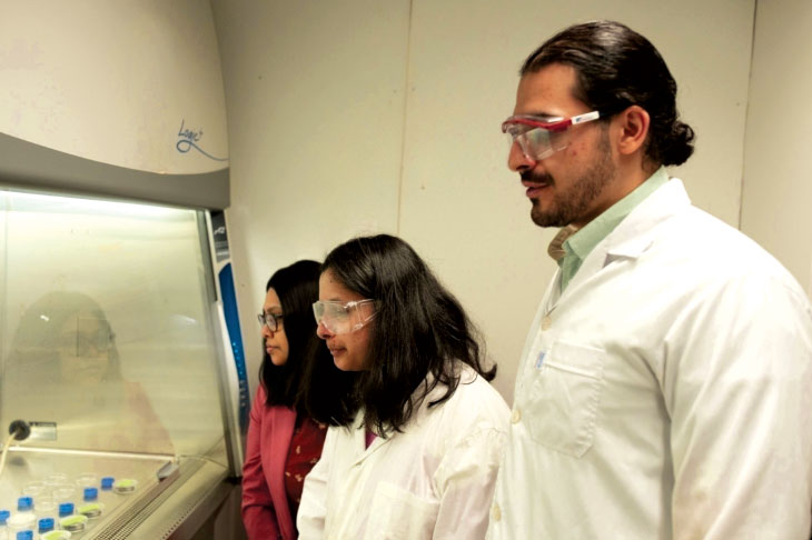 Siddiqua and two others in white lab coats observing items in an incubator