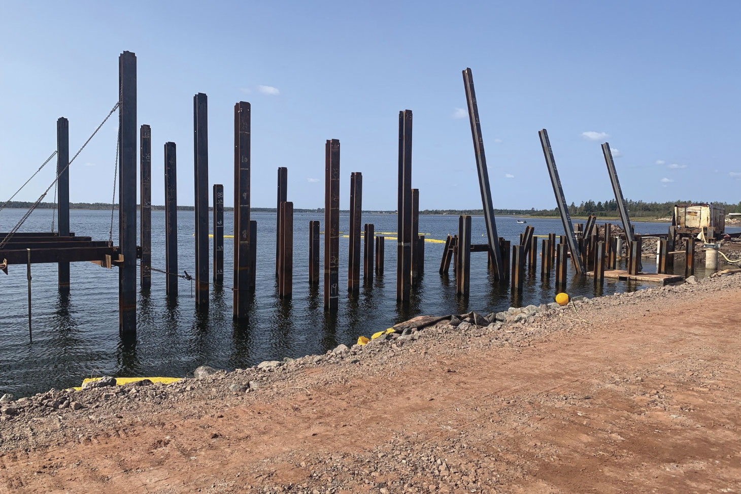 Driven piles in shoreline