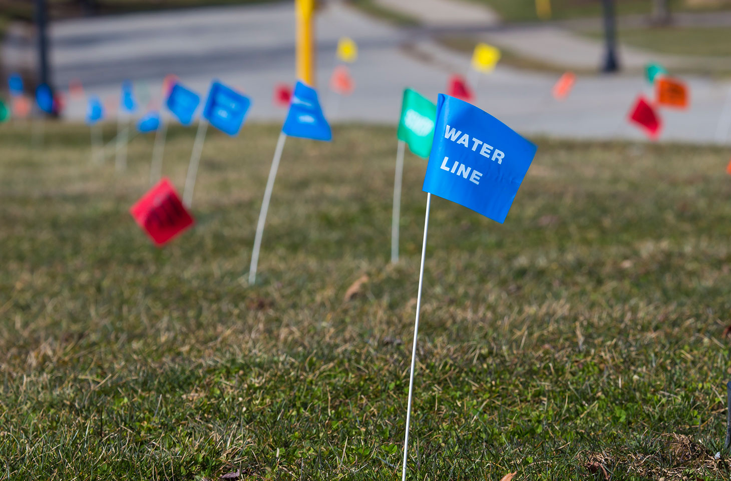 Utilities location flags marking underground lines