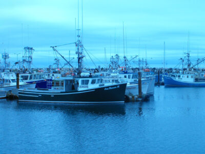 Boats at the Meteghan Harbour