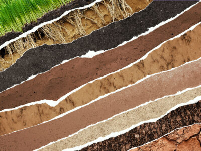 Ground textures with lawn grass on top