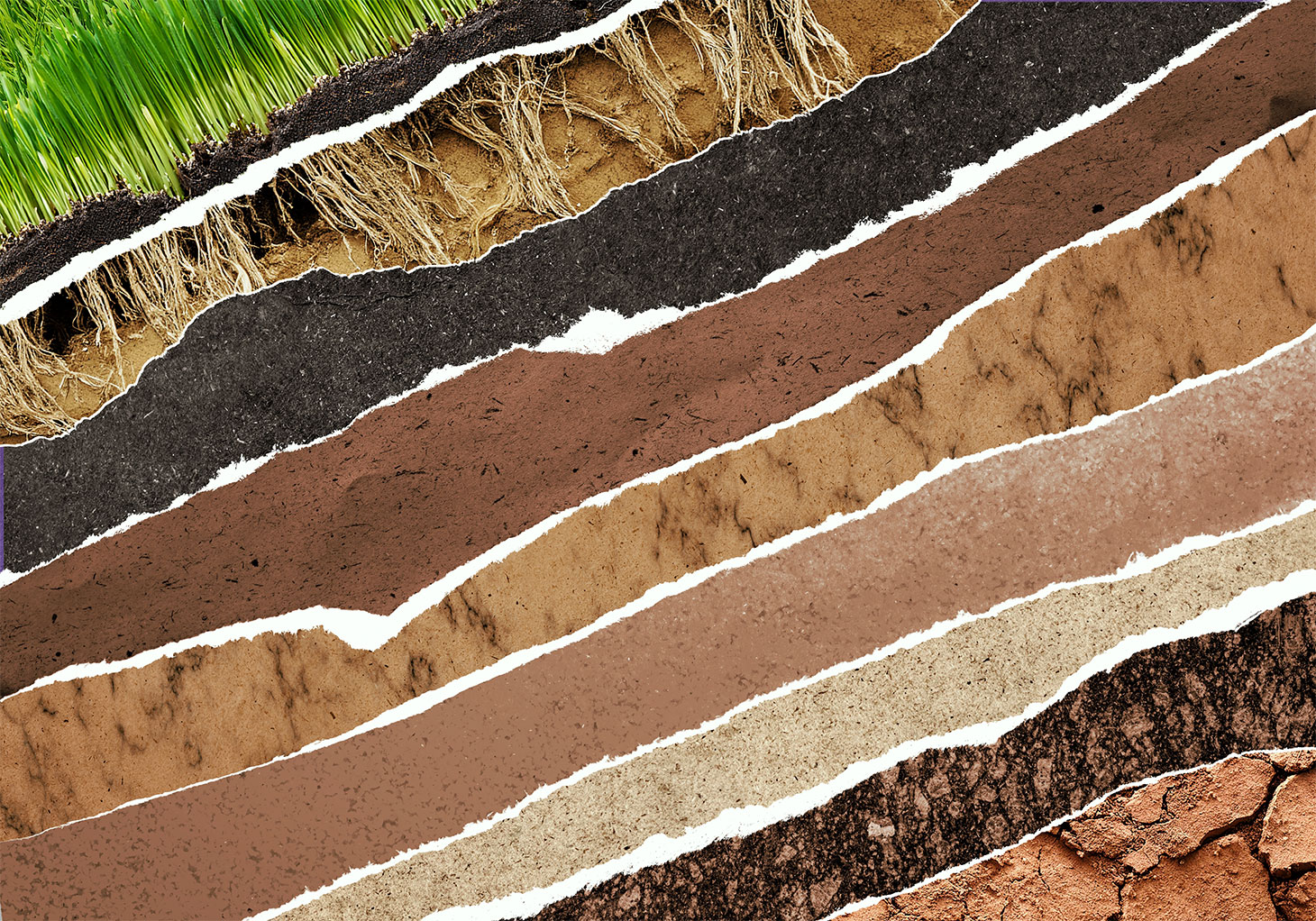 Ground textures with lawn grass on top